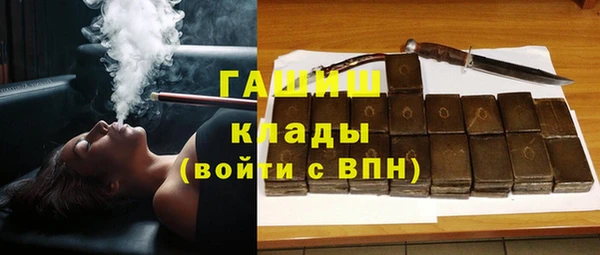 индика Пестово