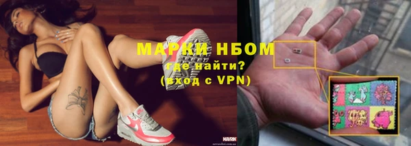 ПСИЛОЦИБИНОВЫЕ ГРИБЫ Переславль-Залесский