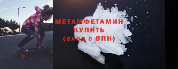 индика Пестово