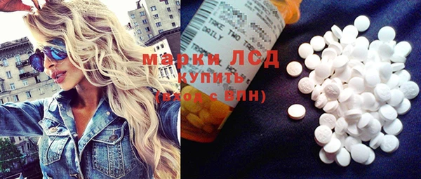индика Пестово