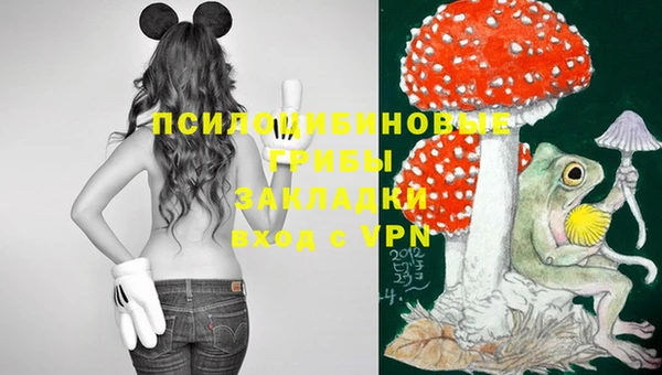 индика Пестово