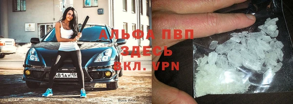 шишки Лагань