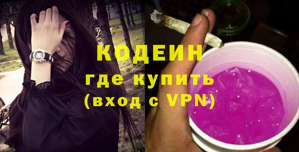 индика Пестово