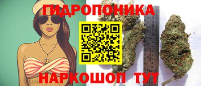 ПСИЛОЦИБИНОВЫЕ ГРИБЫ Апрелевка