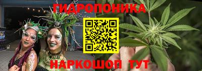 шишки Аргун