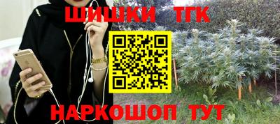 гашик Аргун