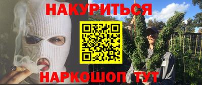 шишки Аргун