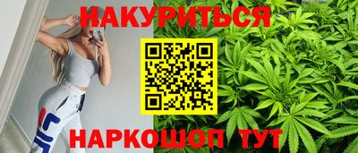 шишки Аргун