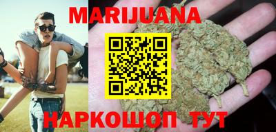 шишки Аргун