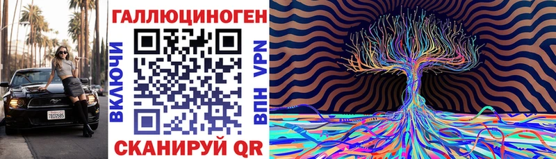 Псилоцибиновые грибы Psilocybine cubensis  Борзя 