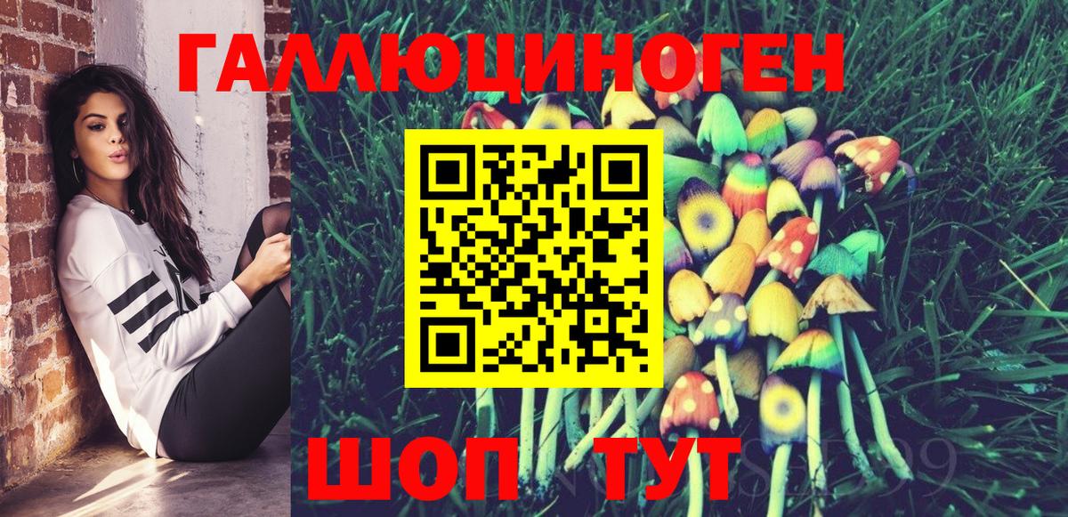 Псилоцибиновые грибы Psilocybine cubensis Борзя