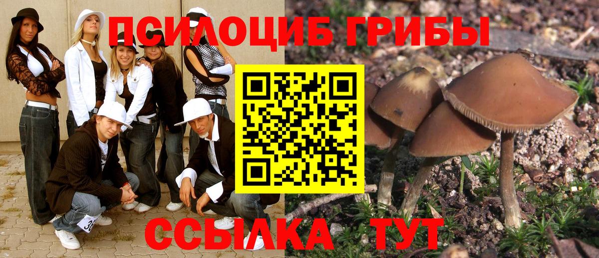 Псилоцибиновые грибы прущие грибы  Псилоцибиновые грибы прущие грибы  наркошоп  Борзя 