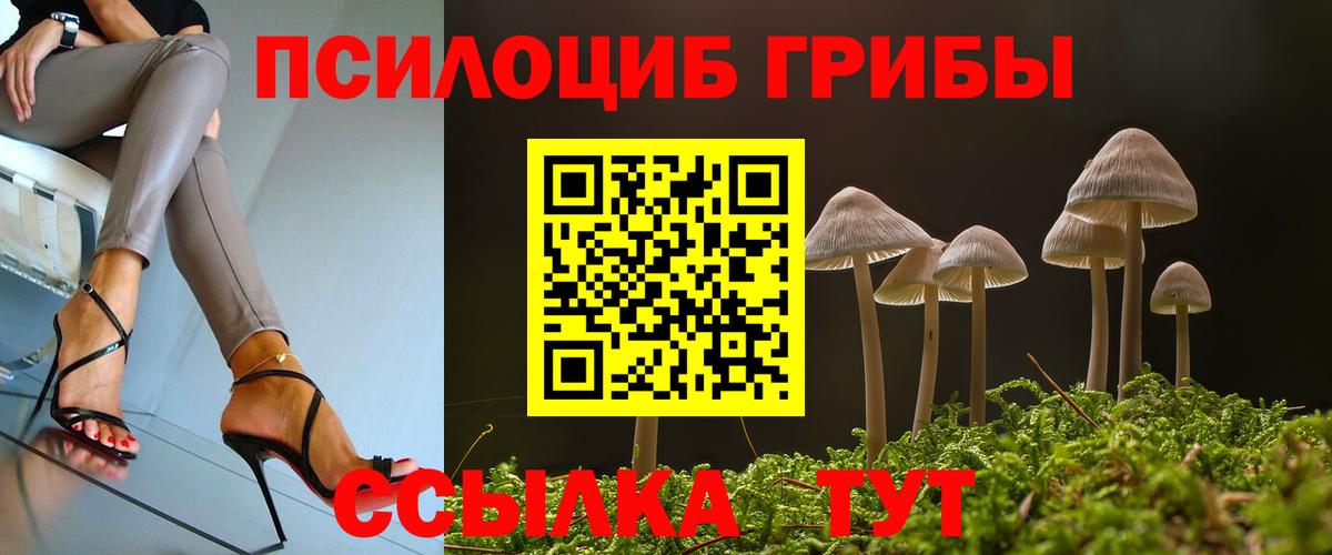 Галлюциногенные грибы Psilocybine cubensis  Вход с VPN  Борзя 