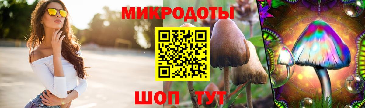 Псилоцибиновые грибы Psilocybine cubensis Борзя